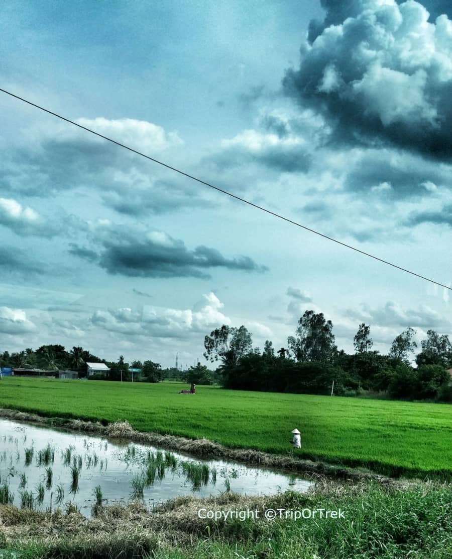 20150807_103324_HDR-2