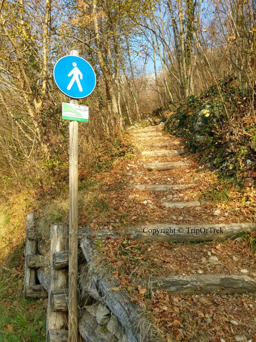 SentieroAlto19