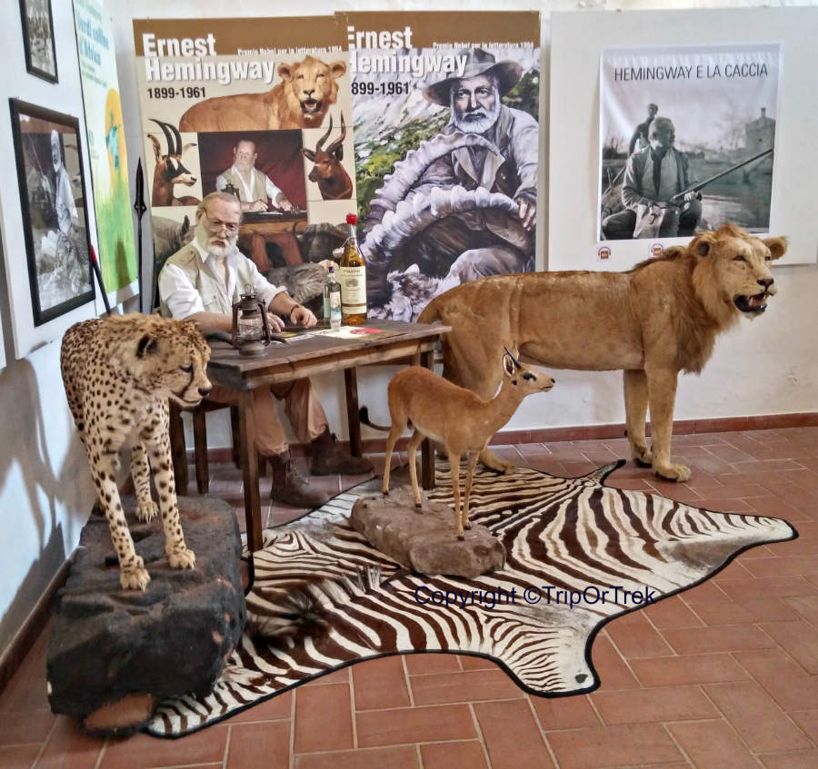 Bassano_museo_Hemingway5