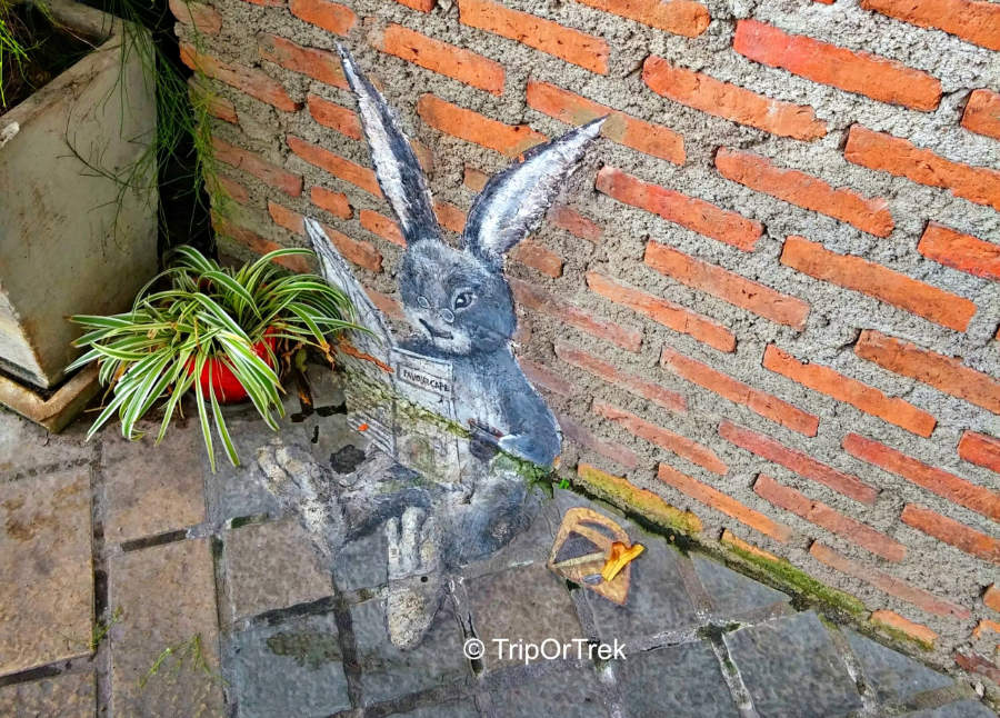 20160802_111219_HDR~2