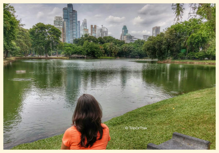 20160805_143337_hdr22