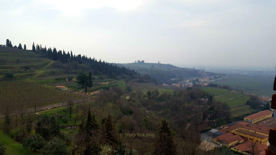 SOAVE_CASTELLO4