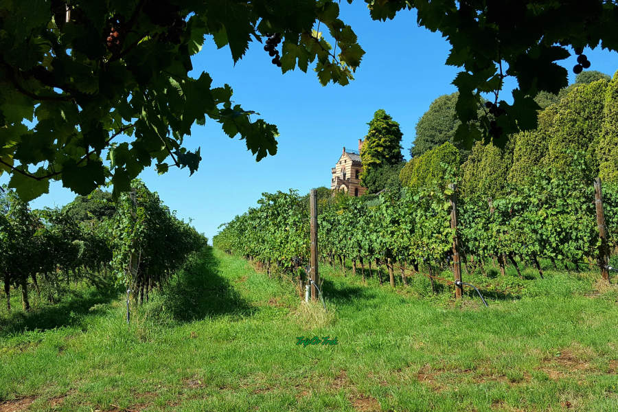 FRANCIACORTA_ISEO_tenutaCastelloBonomi_blog