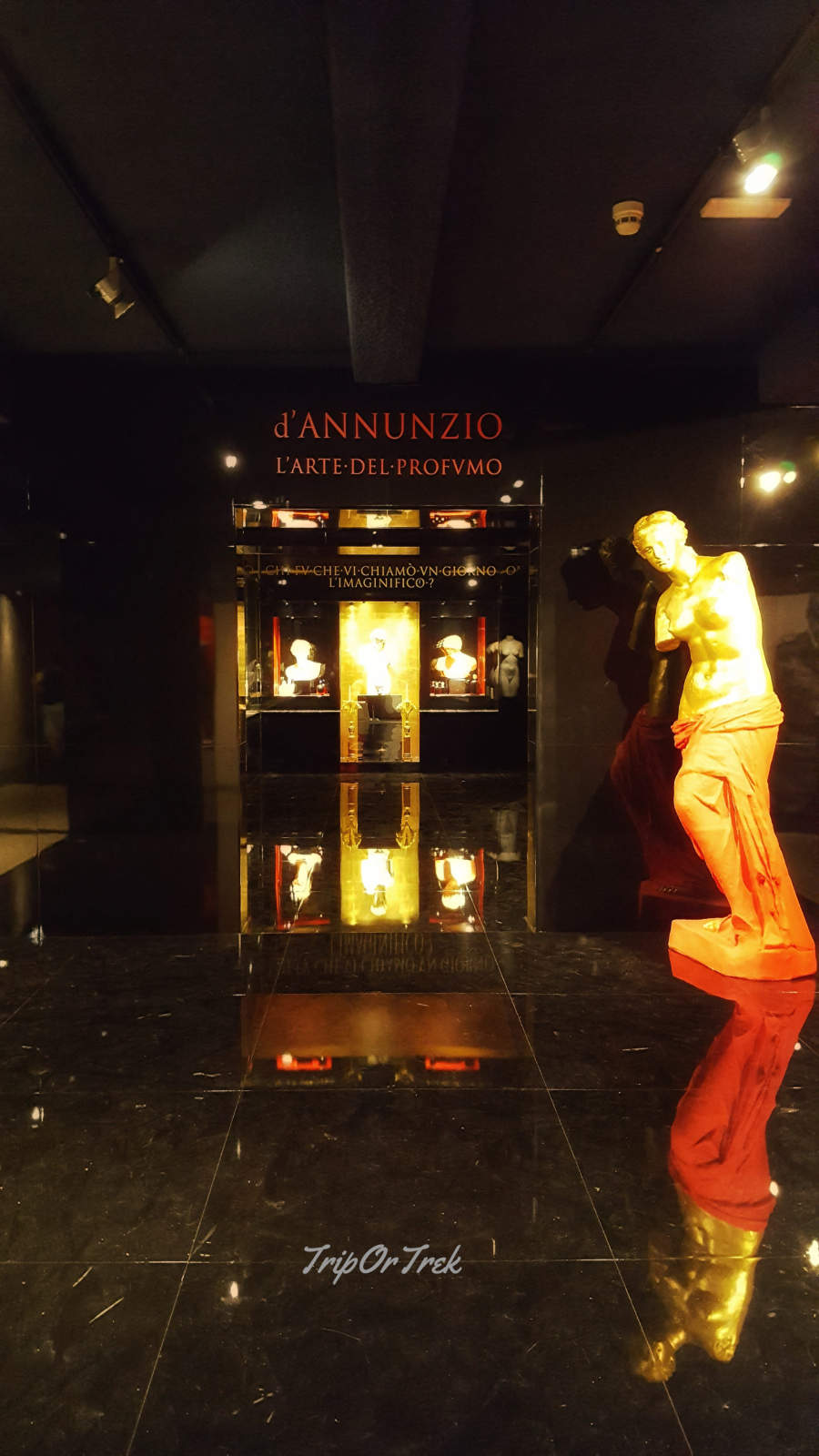 VITTORIALE7