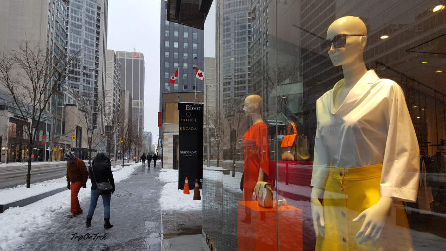 Royal Ontario Museum2