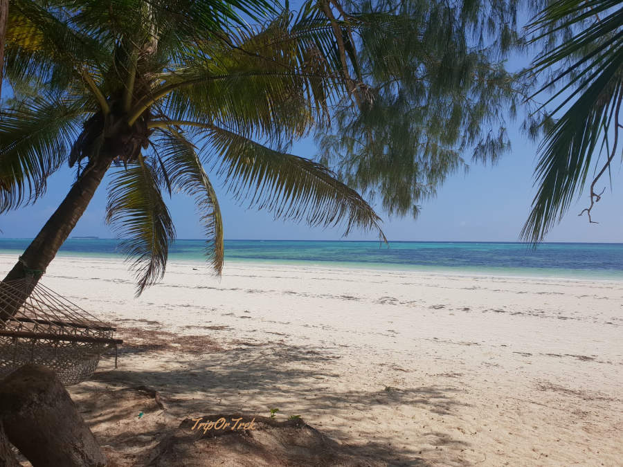 ZANZIBAR2