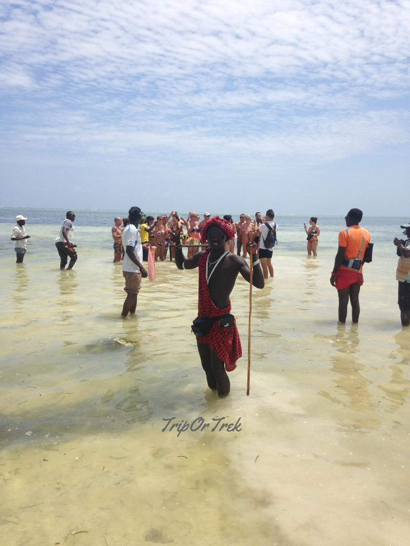 ZANZIBAR_masai