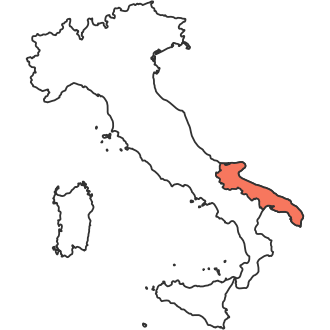Destination Additional Image