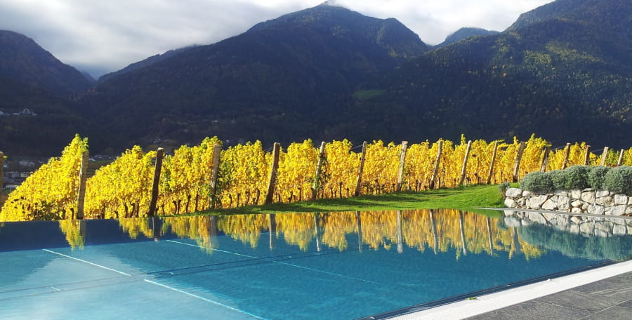 Piscina-Pacherhof-Vinum-hotels