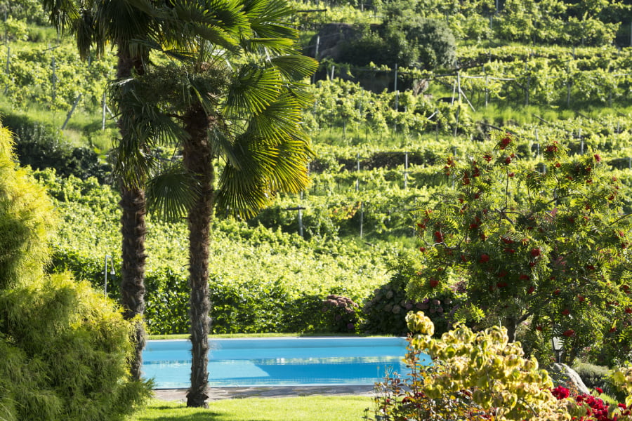 Piscine-Schloss-Plars-Vinum-Hotels