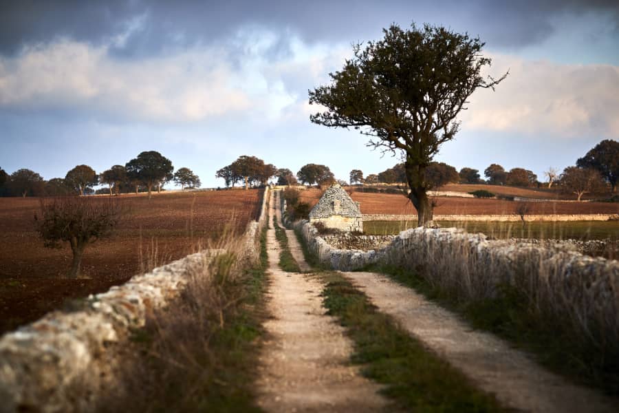 Yuniqly-Puglia_paesaggio