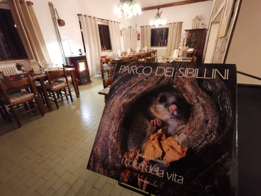 Monti-Sibillini-LaCapanna_Pintura-di-Bolognola