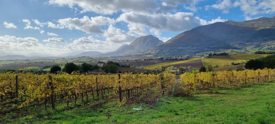 VillaCollepere_Matelica_TripOrTrek