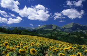 ViaggiInCamper_Monti Sibillini_PhotoGiorgioTassi